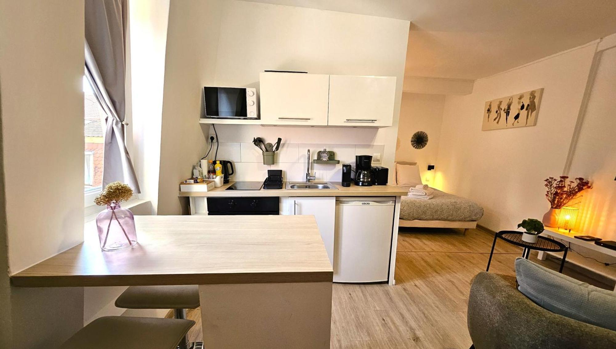Studio- Hyper Centre Ville Colmar Ngoại thất bức ảnh