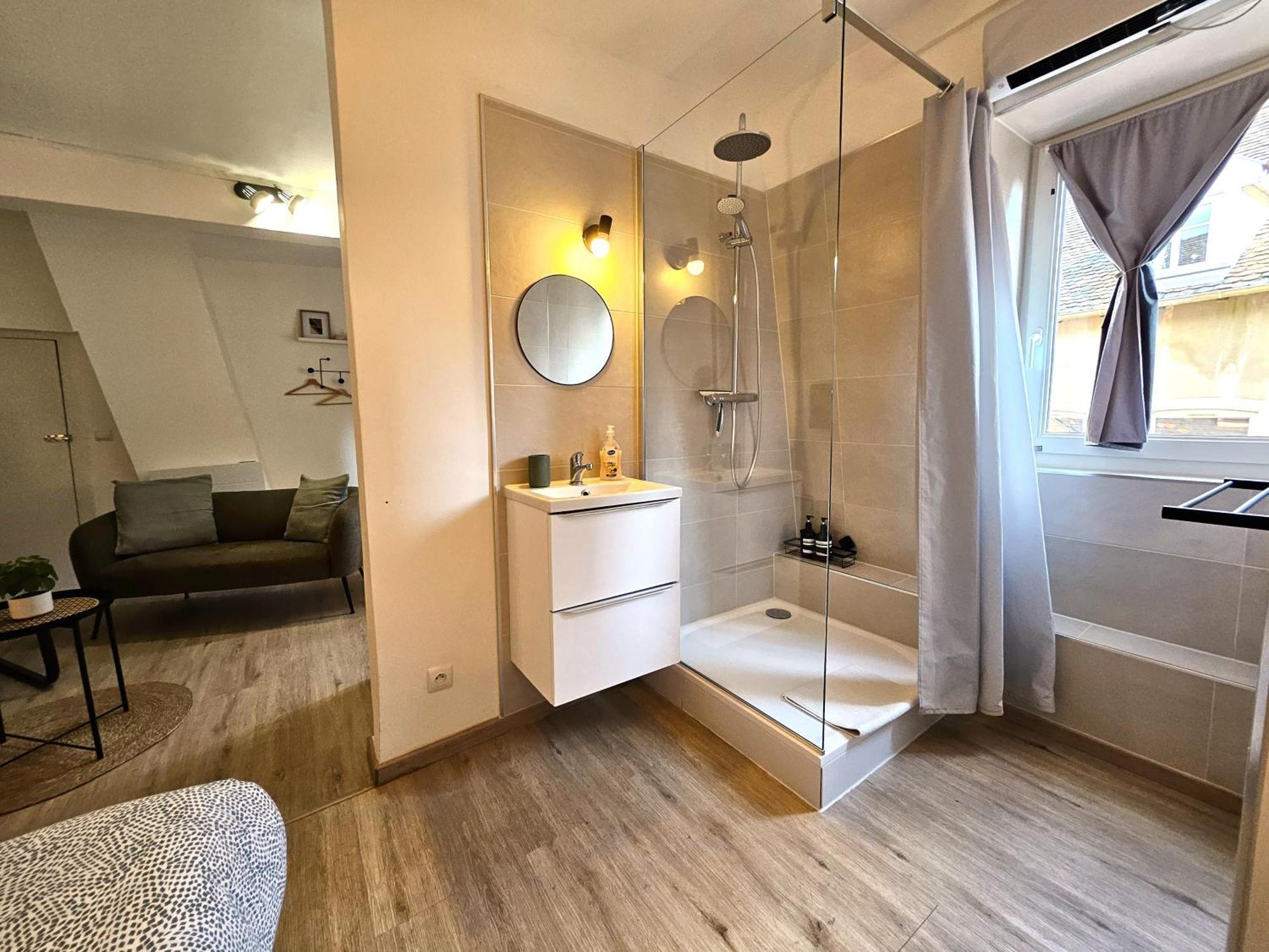 Studio- Hyper Centre Ville Colmar Ngoại thất bức ảnh